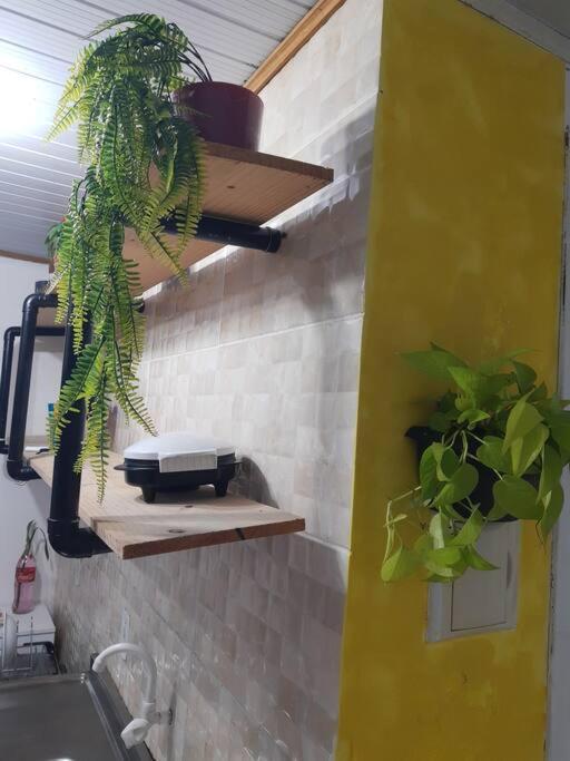 Townhousefloripa I Do Mocambique Riovermelho